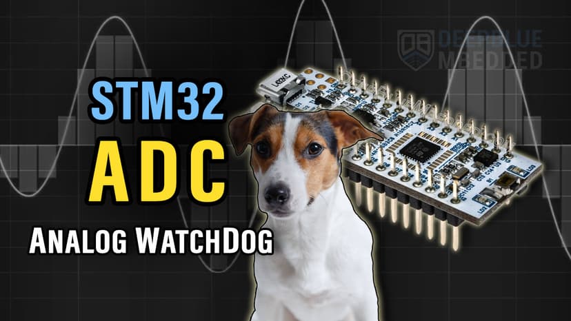 watch dog